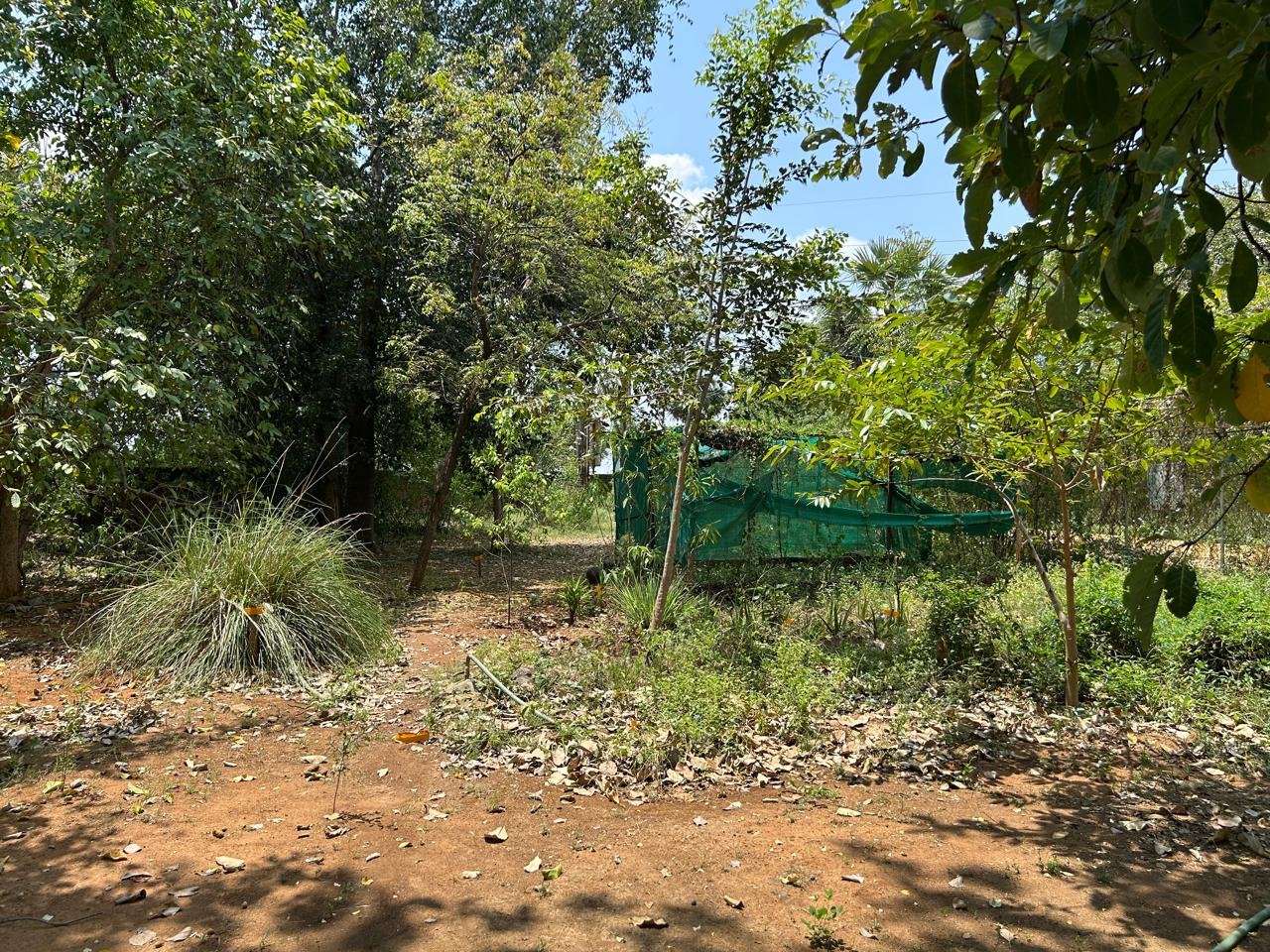 Garden Area